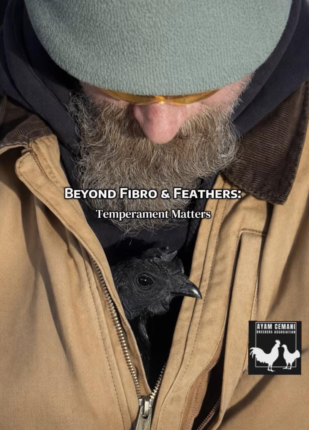 Beyond Fibro & Feathers: Temperament Matters