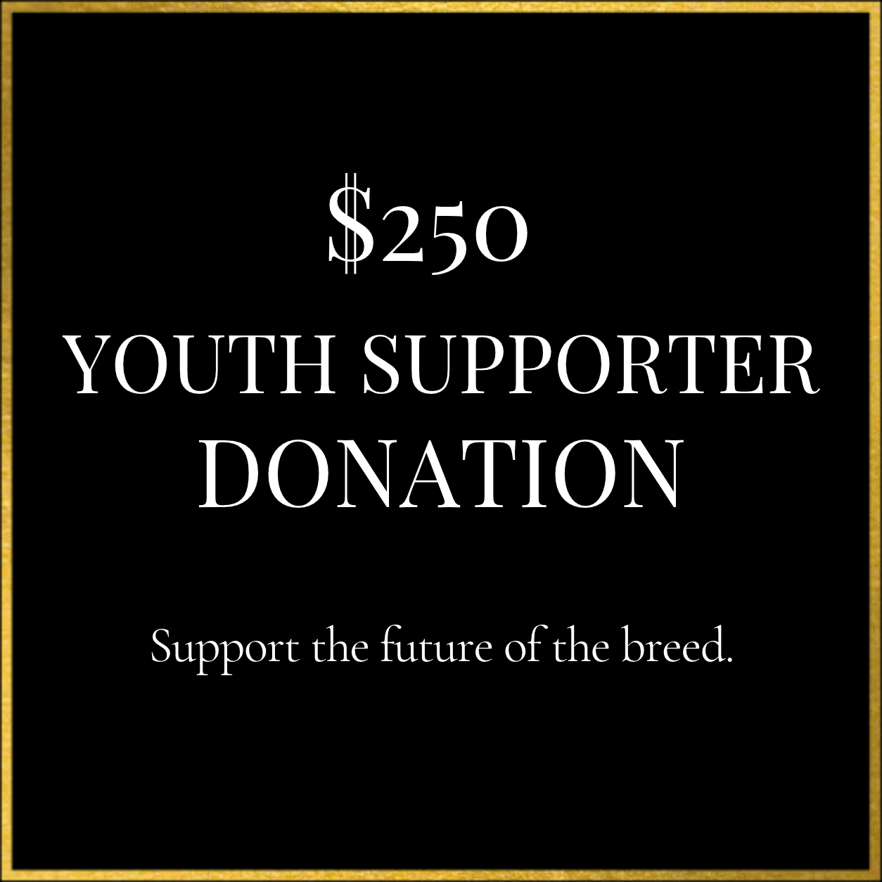 $250 Youth Supporter Donation
