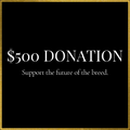 $500 Donation