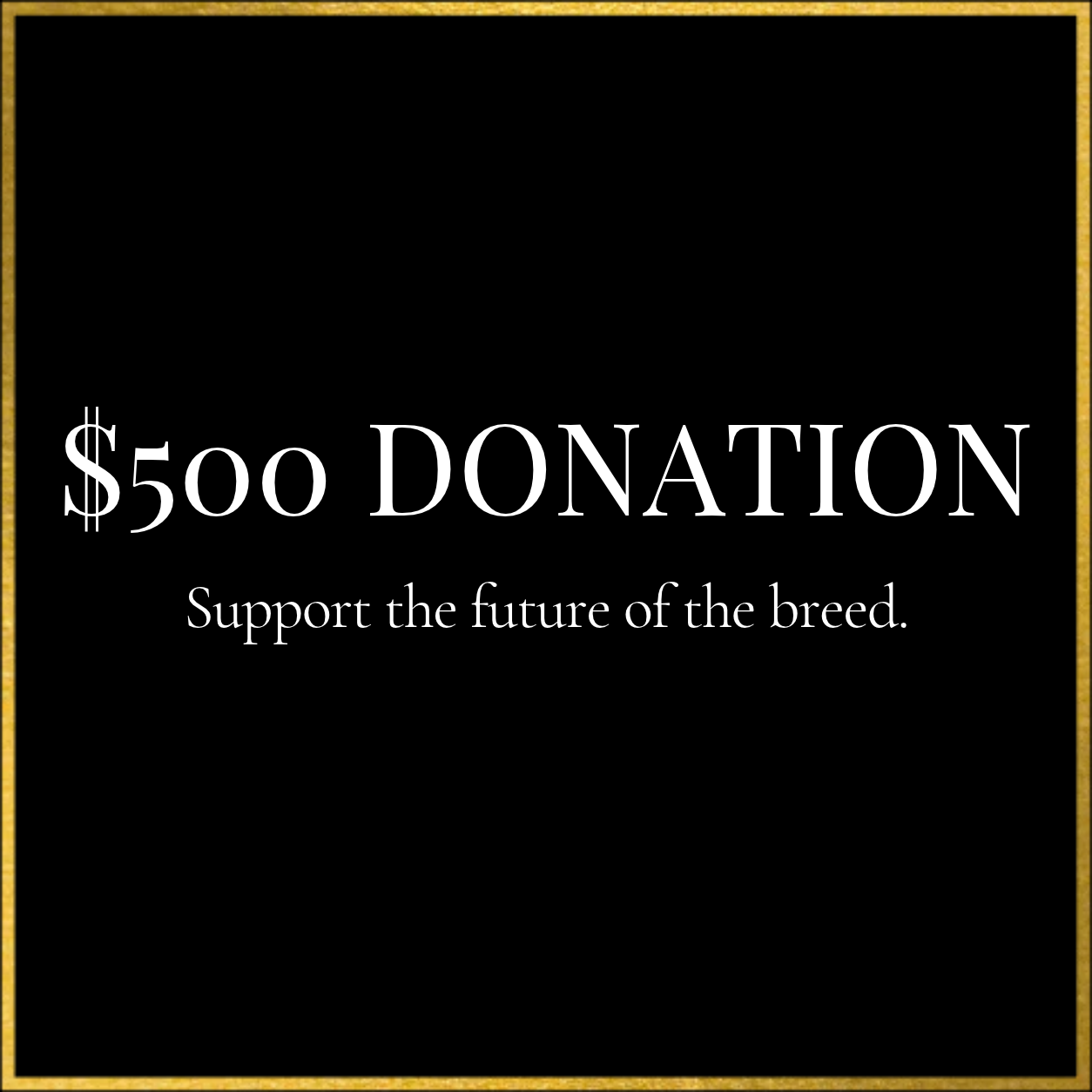 $500 Donation