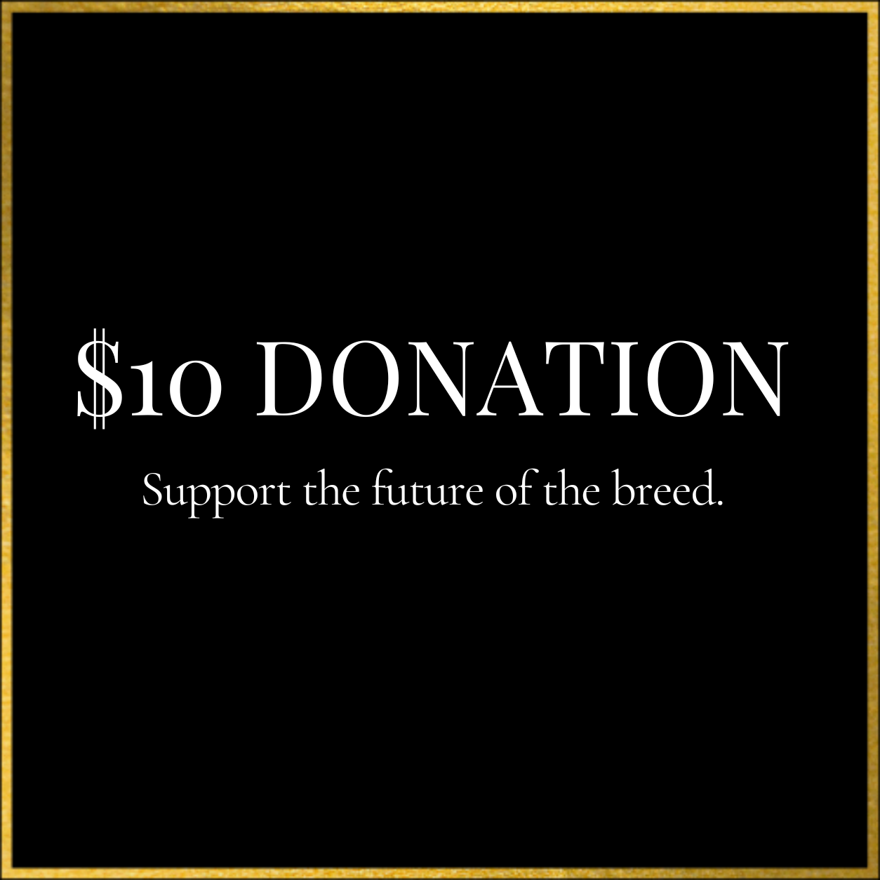 $10 Donation